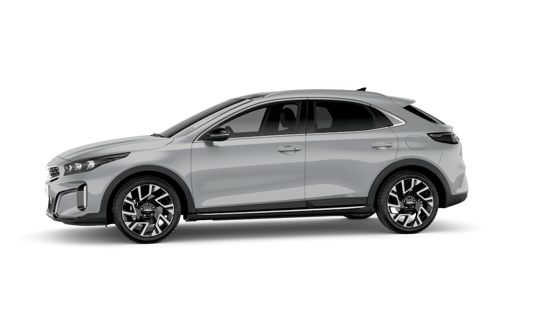 Greydition