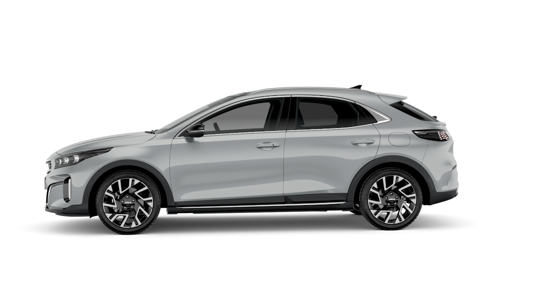 Greydition