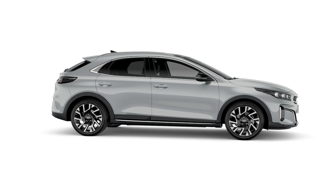 Greydition