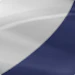 Pearl Vigor Blue / Pearl Brilliant White (JWN)